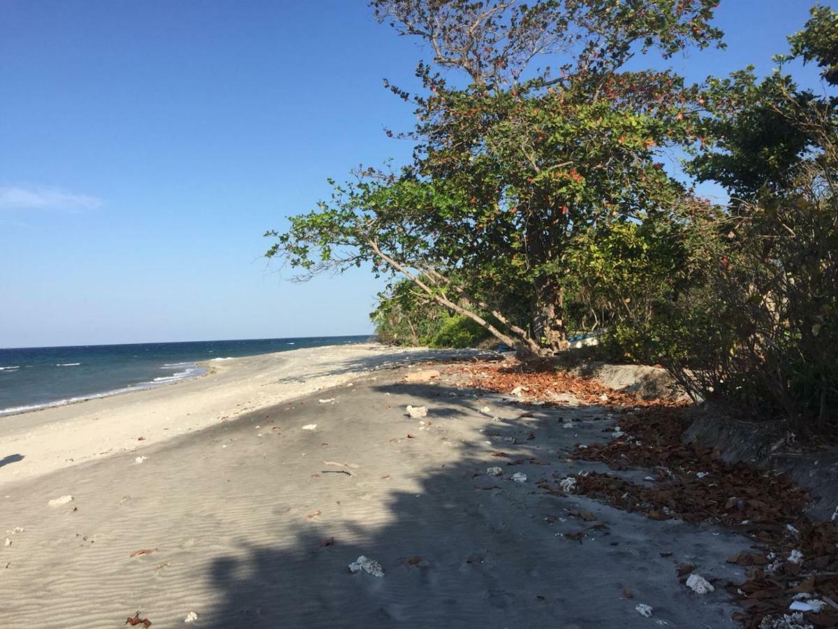 Wera Beach Kadumbul Exterior foto